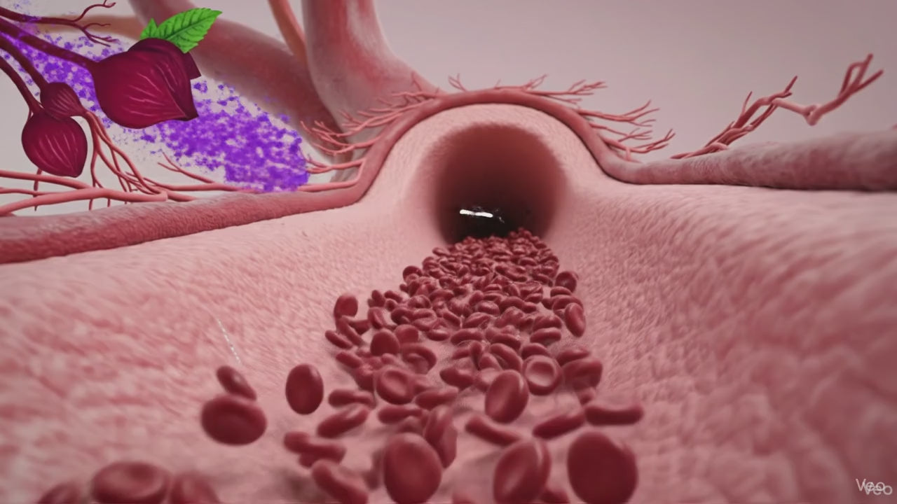 Carica il video: 